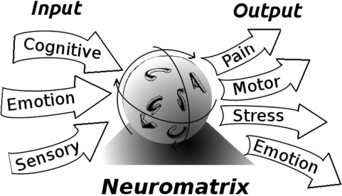Neuromatrix-Simplified